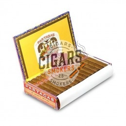 Partagas Shorts