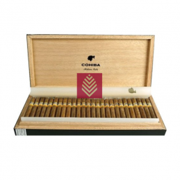 Cohiba Short Humidor